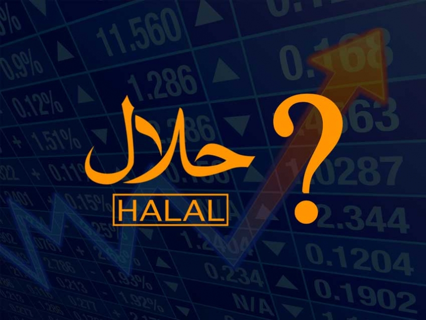 Stock Halal Checker